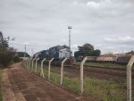 RUMO 9880